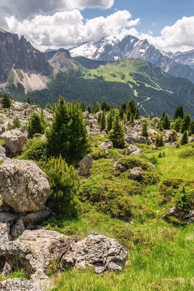 Malerische Landschaft mit felsigem Berg und grünem Baum — Stockfoto