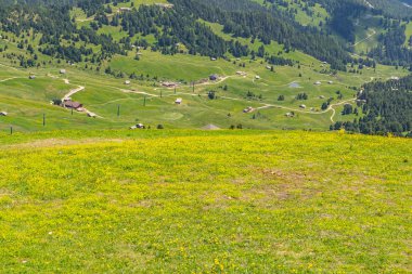 Yeşil dağ Tepesi ve kırsal alana sahip doğal Alpler
