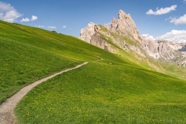 Yeşil tepede Trail ile güzel Alpleri