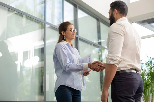 Vrolijke jonge vrouwelijke persoon die communiceert met collega — Stockfoto