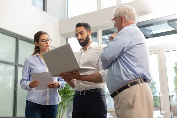 Concentrated bearded man staring at his laptop — Stock Photo, Image