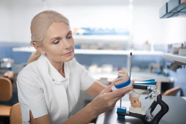 Dentysta patrząc uważnie na świeży odlew model zębów. — Zdjęcie stockowe