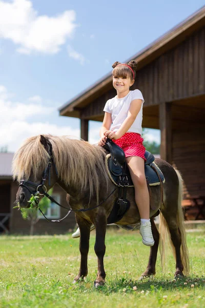 Petite fille avec une coiffure mignonne assise sur le cheval et souriant — Photo