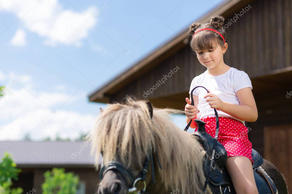 Little positive girl trying riding a horse