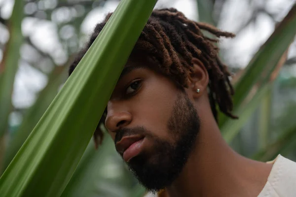 Bearded young man wearing earrings posing near palm tree