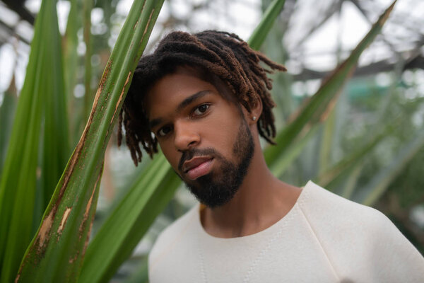 Handsome young man with dreadlocks standing near palm tree