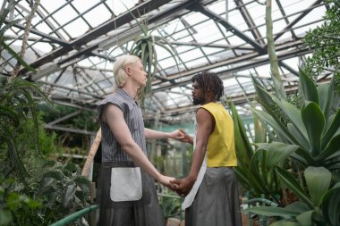 Birlikte çalışırken erkek model sarılma sakallı adam