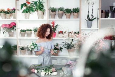 Dolu odada profesyonel çiçekçi olarak çalışan Kıvırcık kadın Işınlama