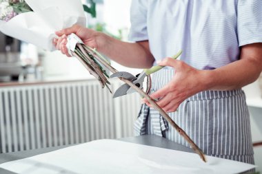 Kesme için profesyonel pruner kullanarak doğru güçlü çiçekçi