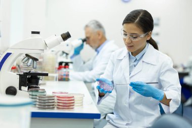 Neşeli genç kadın kişi kimyasal analiz yapıyor