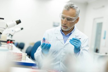 Konsantre kıdemli adam onun ekipman bakarak