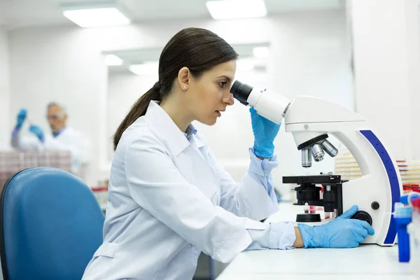 Farmacéutico joven concentrado trabajando en laboratorio de investigación — Foto de Stock