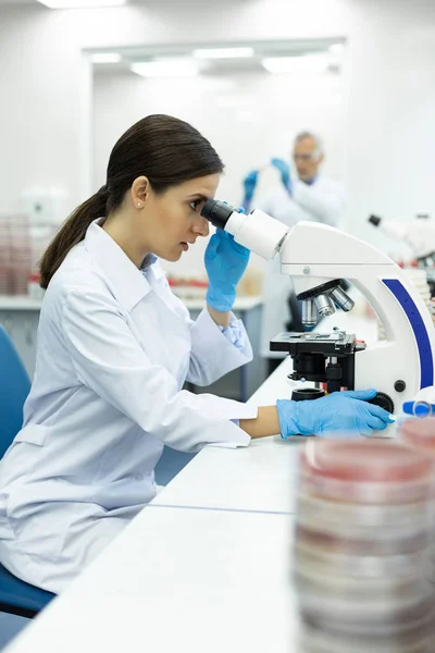 Serious medical worker examining sample of blood — Stock Photo, Image