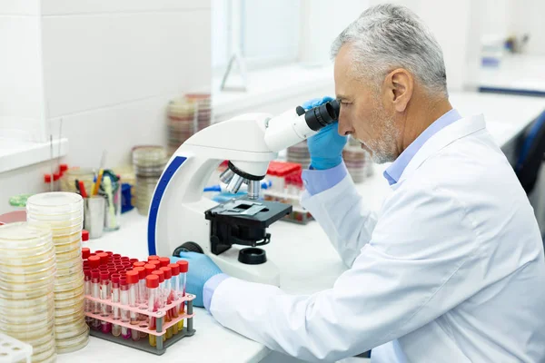 Attentive bearded researcher looking at modern microscope — Stock Photo, Image