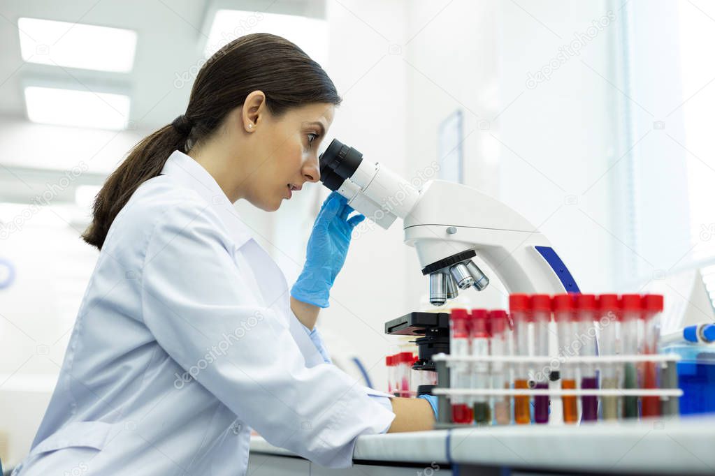 Concentrated brunette microbiologist working with lab equipment