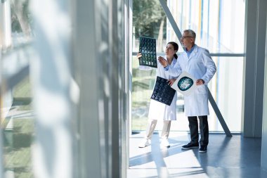 Neşeli genç asistan roentgen sonuçlarını inceliyor