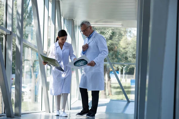 Koncentrerad mogen medicinsk arbetare stirrade på röntgenbild — Stockfoto