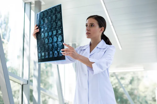 Concentrated brunette female person doing medical expertise — Stock Photo, Image