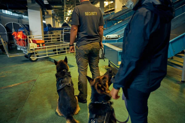 Detecção de cães de plantão com guardas de segurança no aeroporto — Fotografia de Stock