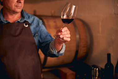 Male winemaker holding glass of red wine clipart