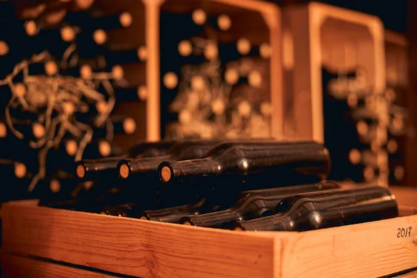 Garrafas empoeiradas de vinho tinto em caixa de madeira — Fotografia de Stock