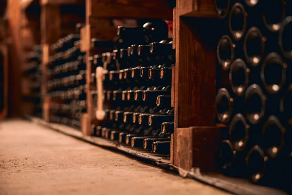 Garrafas de vinho com rolhas armazenadas na adega — Fotografia de Stock