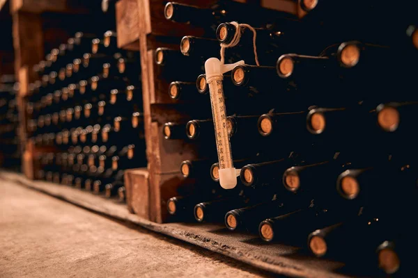 Garrafas de vinho com termômetro armazenadas na adega — Fotografia de Stock