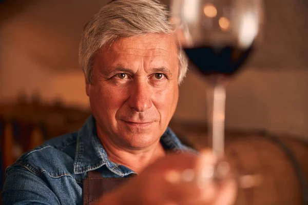 Bell'uomo che tiene un bicchiere di vino rosso — Foto Stock