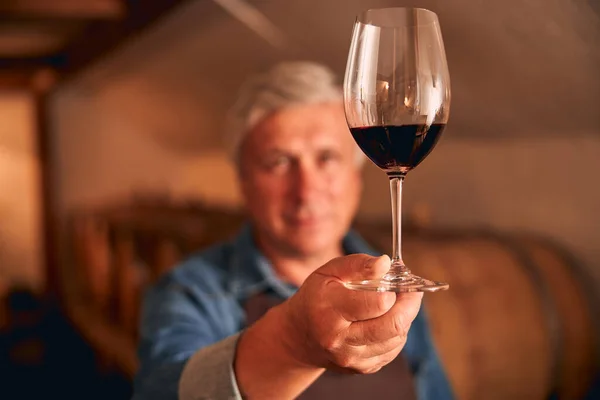 Male winemaker hand holding glass of red wine — Stock Photo, Image