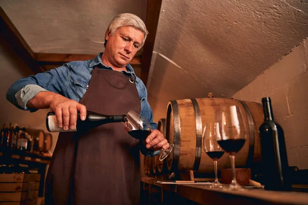 Спокійний концентрований чоловік поливає червоне вино в підвалі — стокове фото