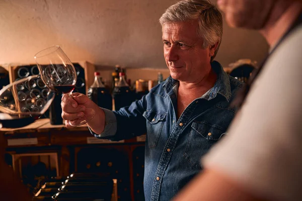 Sommelier ficando impressão geral do vinho — Fotografia de Stock