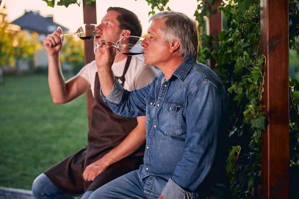 Beber sabroso vino tinto en buena compañía al aire libre — Foto de Stock