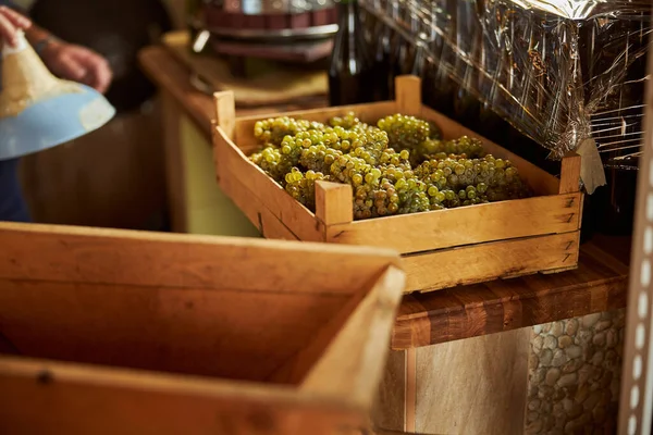 Trälåda med nyplockade druvor redo för vinframställning — Stockfoto