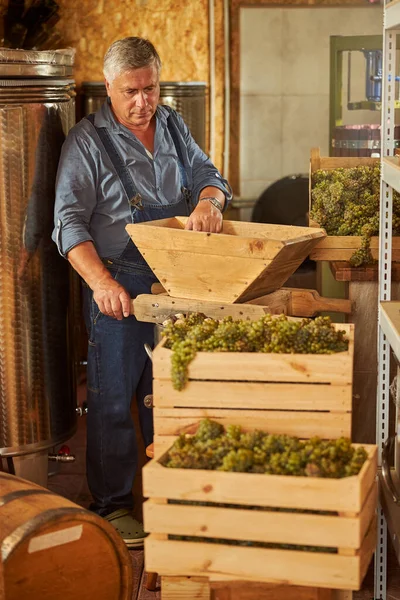 Operaio vinicolo che prepara una pressa per la pigiatura dell'uva — Foto Stock