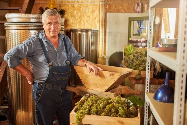 Orgulloso propietario de la bodega posando cerca de una prensa de uva — Foto de Stock