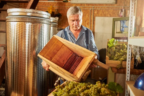 Hårt arbetande vinmakare som förbereder en druvkross — Stockfoto
