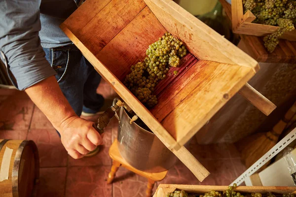 Viticoltore che utilizza un frantoio per eccitare il succo — Foto Stock