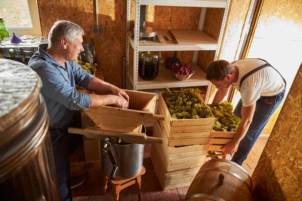 Joyous senior man och hans son arbetar på vingården — Stockfoto