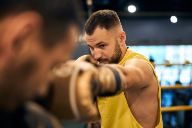 Profesyonel erkek boks şampiyonu vuruşunu yapıyor.