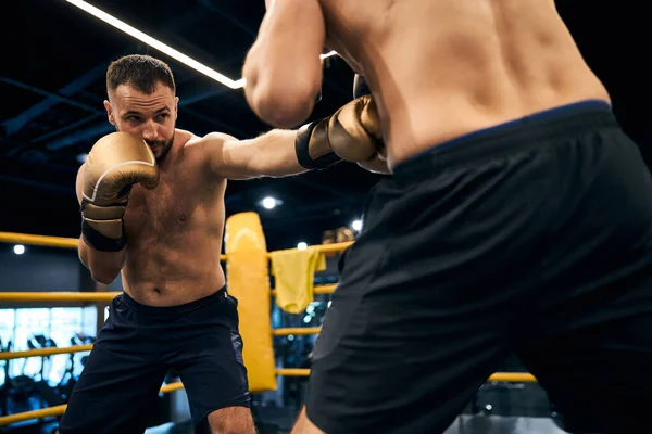 Vastberaden bokser slaat zijn sparringpartner in een maag — Stockfoto