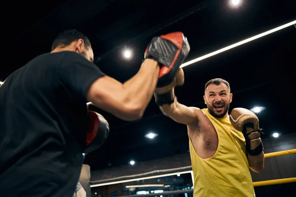 Boxeador agresivo está golpeando una almohadilla de perforación —  Fotos de Stock