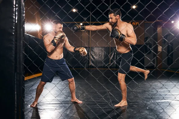 Dos boxeadores peleando detrás de una cerca de eslabones —  Fotos de Stock