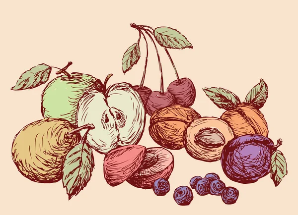 Ensemble Des Différents Fruits Dessinés Berries All Objets Isolés — Image vectorielle