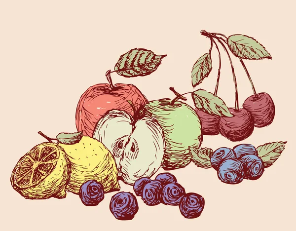 Nature Morte Des Différents Fruits Dessinés Tous Les Objets Isolés — Image vectorielle