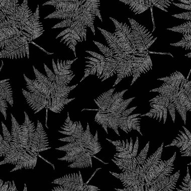 Vektör desen bir eğreltiotu yaprakları