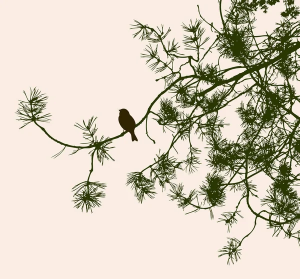 Oiseau Sur Une Branche Pin Illustration Vectorielle — Image vectorielle