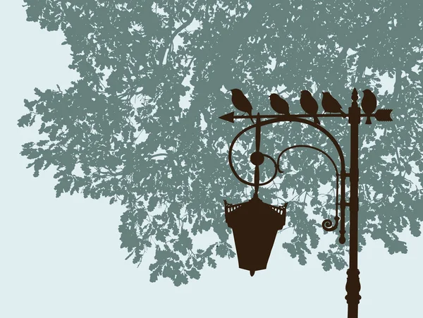 Vrabci Sedět Lucernu Městském Parku — Stockový vektor