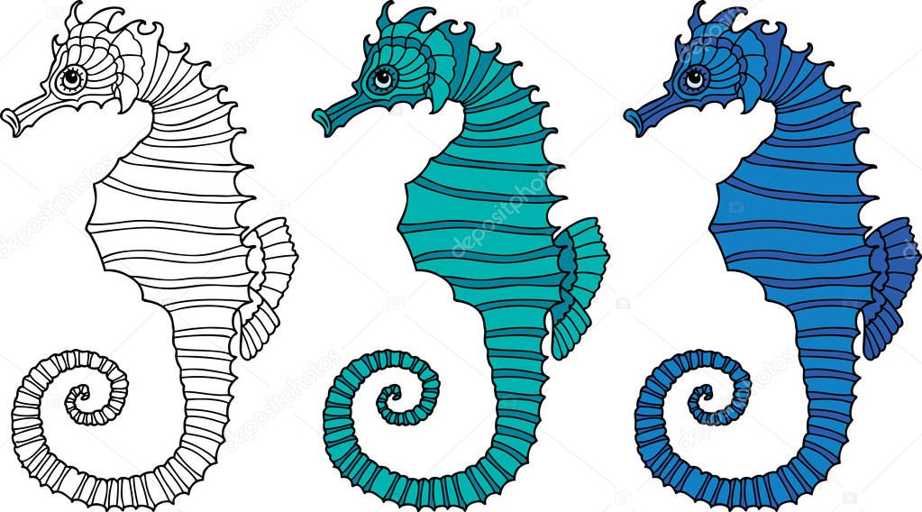 Vector image of decorative sea horses