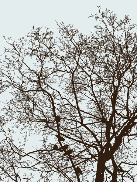 Σιλουέτες Κλαδιά Δέντρων Και Των Πουλιών Στο Κρύο Σεζόν — Διανυσματικό Αρχείο