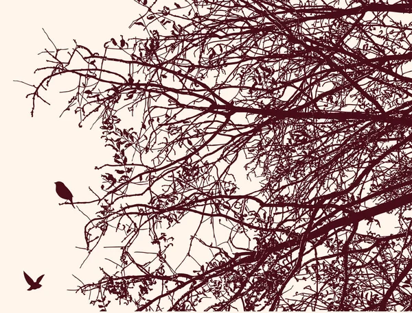 秋のブッシュの枝のシルエット — ストックベクタ